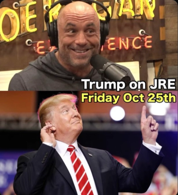 Joe Rogan 